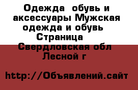 Одежда, обувь и аксессуары Мужская одежда и обувь - Страница 3 . Свердловская обл.,Лесной г.